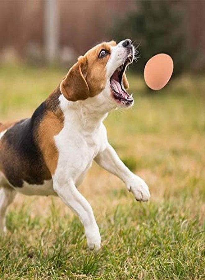 D&C PAWS لعبة مضغ على شكل كرة مطاطية نطاطة على شكل بيضة من D&C PAWS للكلاب والجراء والقطط - لعبة متينة وآمنة وتفاعلية للمضغ والجلب والتسلية (عبوة من قطعة واحدة) - Image 2